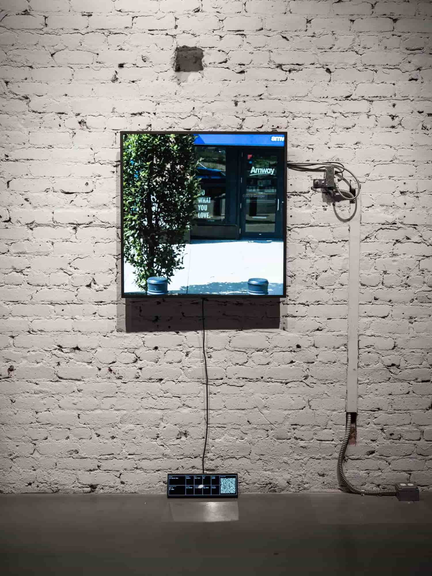 Cover image for Looking for Love (in NYC)